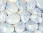 Lot: Polished Blue Calcite Pebbles - kg ( lbs) #77753-2